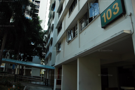 Blk 103 Spottiswoode Park Road (Bukit Merah), HDB 5 Rooms #150832